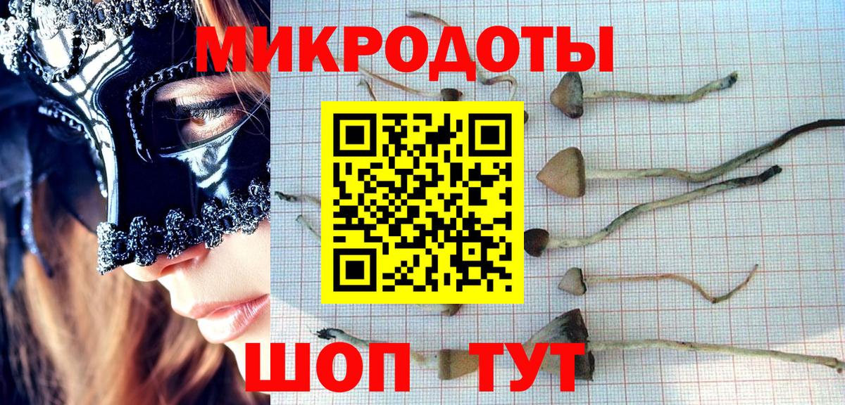 Псилоцибиновые грибы GOLDEN TEACHER Беслан