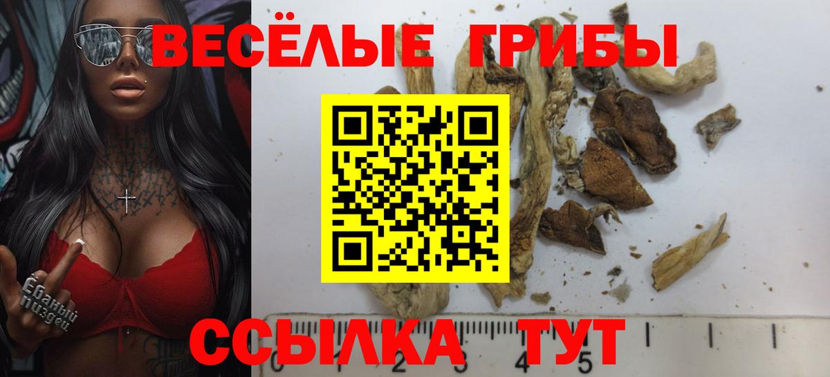 купить наркотик  Галлюциногенные грибы Psilocybe  Вход с VPN  Беслан 